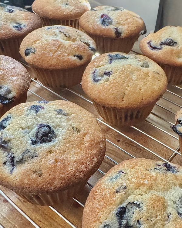 Blueberry Muffins
